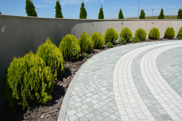 Best Luxury Driveway Paving Solutions in Johnsburg, IL